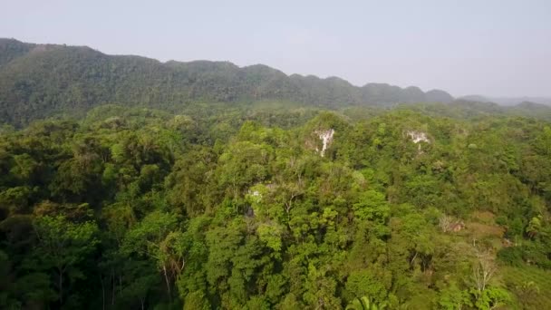 Flygfoto Från Kalkstensbergen Nära Candeleria Guatemala — Stockvideo