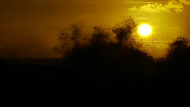 Puesta Sol Detrás Las Olas Mientras Cresta Rompen Cámara Lenta — Vídeo de stock