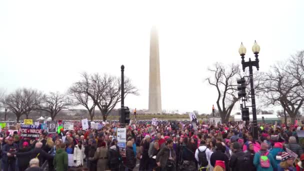 群衆は行進し 詠唱し ワシントンDcの巨大な反トランプ集会でワシントン記念碑を通過した兆候を運ぶ — ストック動画