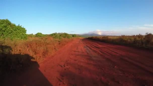 Pov Skott Kör Röd Grusväg Lanai Hawaii — Stockvideo