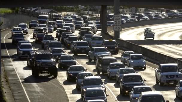 Congestión Del Tráfico Hacia Oeste Por Mañana Autopista Honolulu Hawai — Vídeo de stock