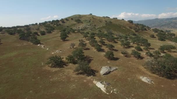 Aereo Sopra Una Cima Una Montagna Nella Contea San Diego — Video Stock