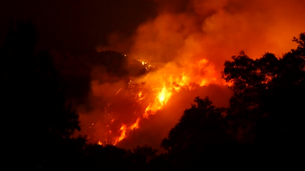 Thomas Yangını Geceleri Ojai California Tepelerinde Yanar — Stok video