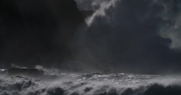 Riesige Meereswellen Rollen Und Krachen Zeitlupe Ein Felsiges Ufer — Stockvideo