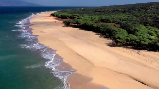 Polihua Lanai Hawaii Issız Bir Sahil Kıyı Şeridi Üzerinde Güzel — Stok video