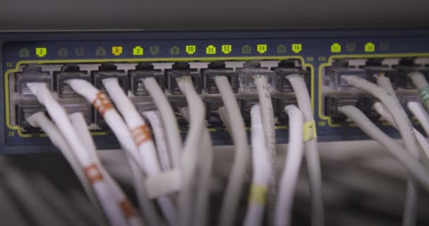 Server Networking Ethernet Cables Lights Blinking — Stock Video