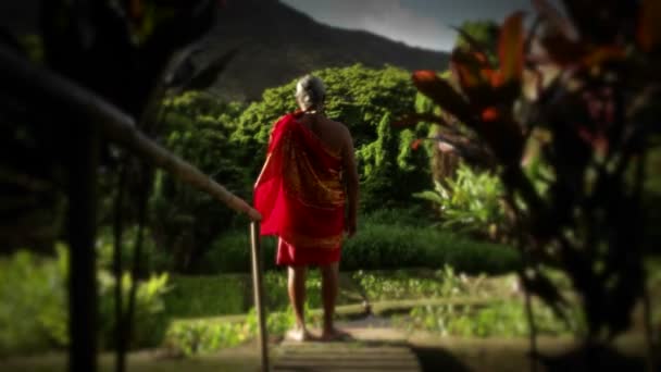 Ένας Ντόπιος Στη Χαβάη Στέκεται Ένα Χωράφι Και Ένα Παιδί — Αρχείο Βίντεο