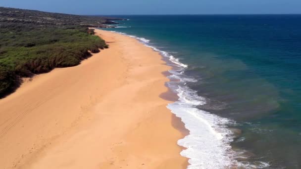 Bela Antena Sobre Uma Praia Isolada Litoral Polihua Lanai Havaí — Vídeo de Stock