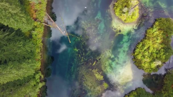 鬱蒼とした森の中の緑の湖や川をまっすぐ見下ろす高い角度の空中写真 — ストック動画