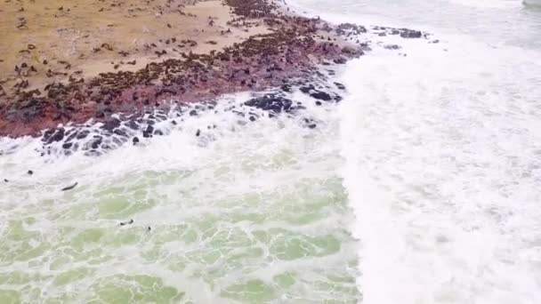 纳米比亚骷髅海岸海角十字海豹保护区上空的空中飞行 — 图库视频影像