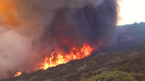 2019年 圣巴巴拉洞穴大火期间 南加州山坡上的一场巨大的 快速移动的野火熊熊熊燃烧 — 图库视频影像