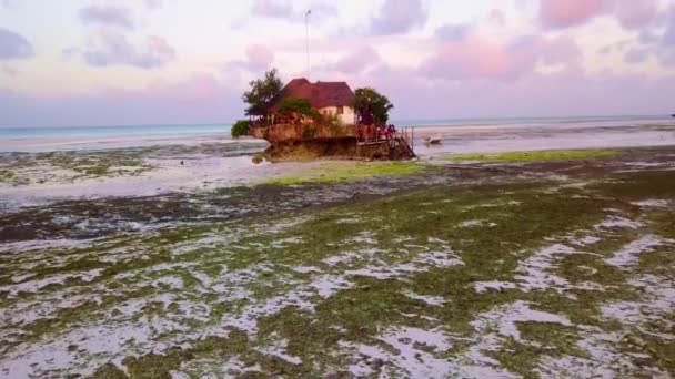 Liten Stuga Restaurang Eller Bar Strand Nära Stonetown Zanzibar Afrika — Stockvideo