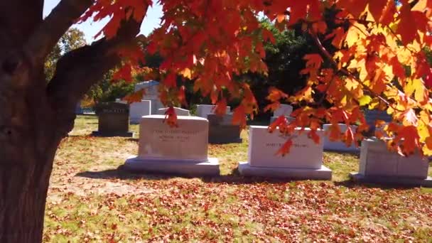 2019 Yavaş Çekim John Foster Dulles Mezarı Boyunca Eski Amerikan — Stok video