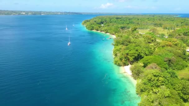 2019 Bra Antenn Över Stillahavsöarna Melanesien Vanuatu Med Palmdjungler — Stockvideo