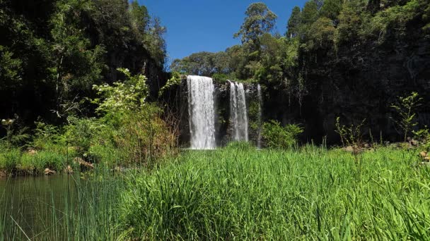 Εντοπισμός Λήψης Του Dangar Falls Στο Dorrigo Νέα Νότια Ουαλία — Αρχείο Βίντεο