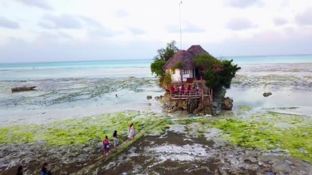 Pequeno Restaurante Bar Uma Praia Perto Stonetown Zanzibar África — Vídeo de Stock