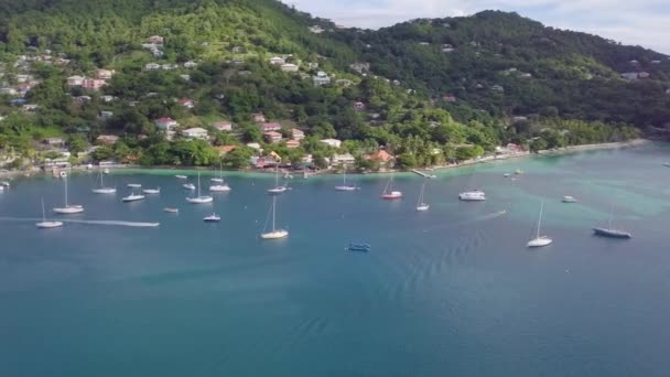 Luftaufnahme Der Karibischen Insel Vincent Mit Blauer Bucht Yachten Hotels — Stockvideo