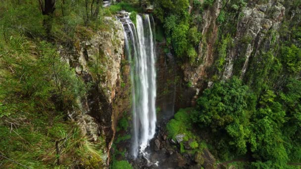 オーストラリア クイーンズランド州キラーニーで女王メアリー滝のショットを確立する — ストック動画
