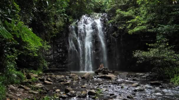 Zřízení Záběru Ellinjaa Falls Millaa Millaa Queensland Austrálie — Stock video