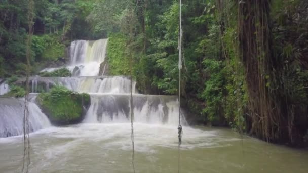 Letectvo Odhaluje Muže Houpající Laně Vodopádů Farnosti Saint Elizabeth Jamajka — Stock video