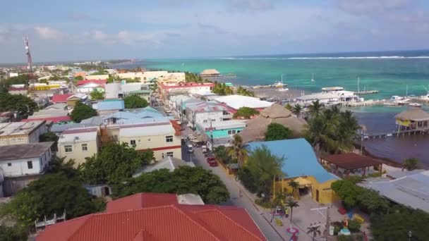 Flyg Över Belize City Belize Hamn Och Centrum — Stockvideo