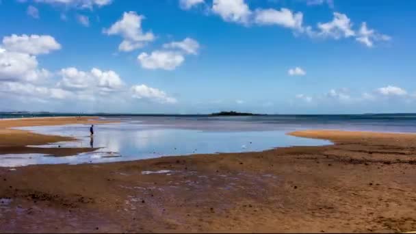 Λήξη Της Παλίρροιας Πισίνες Υποχωρεί Στο Wellington Point Queensland Αυστραλία — Αρχείο Βίντεο