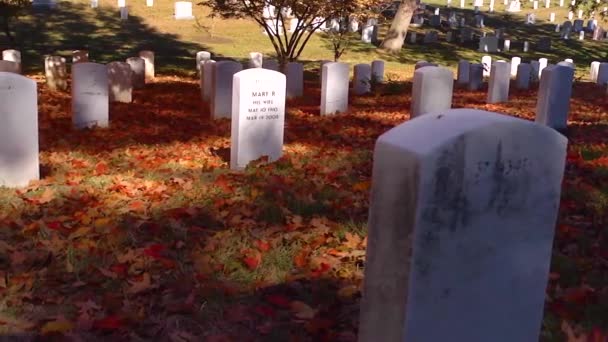 2019年 华盛顿特区阿灵顿国家公墓坟墓旁边缓慢移动的平底锅 呈秋天色 — 图库视频影像