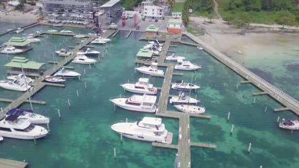 Aerial Pleasure Boats Yachts Harbor Boca Chica Dominican Republic — Video