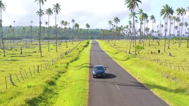 2019 Tourists Lean Out Car Have Good Time Driving Road — Stock Video