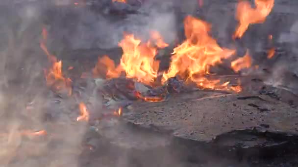 2019 Pallets Dozen Branden Grond Terwijl Brandweerlieden Vechten Tegen Brandende — Stockvideo