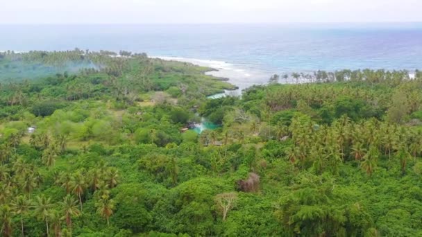 2019 Melanezya Nın Vanuatu Adasındaki Küçük Bir Otelin Uzak Bir — Stok video