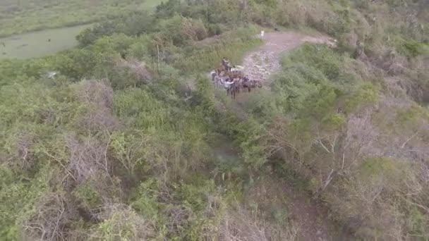 Foto Aérea Jinetes Las Montañas Cuba — Vídeo de stock