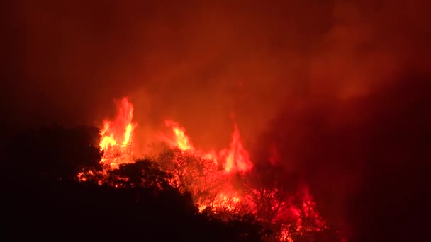 2019 Las Llamas Enormes Elevan Por Noche Mientras Fuego Las — Vídeos de Stock