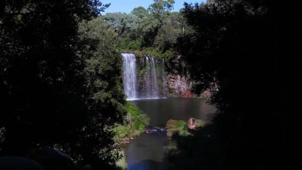 Εντοπισμός Λήψης Του Dangar Falls Στο Dorrigo Νέα Νότια Ουαλία — Αρχείο Βίντεο