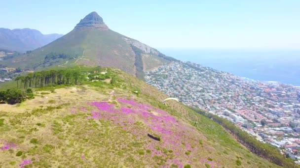 Drone Antenne Paragliding Paragliders Met Binnenstad Van Kaapstad Zuid Afrika — Stockvideo