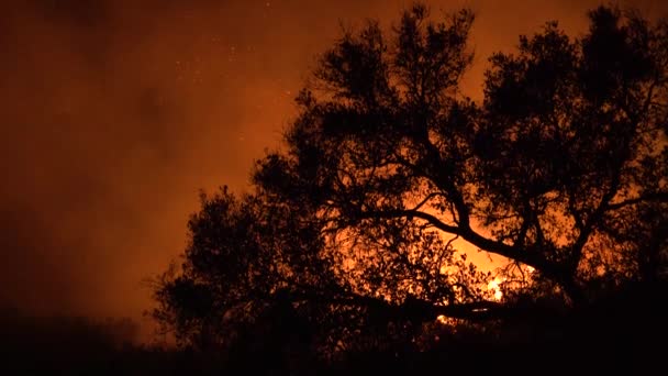 2018 Brushfire Hills Malibu Burns Out Control Woolsey Fire — Stock Video