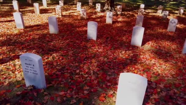2019 Pomalu Pohybující Záběr Podél Hrobů Arlingtonském Národním Hřbitově Washington — Stock video