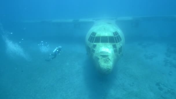 Aqaba Jordan Circa 2010S Unterwasseraufnahmen Von Tauchern Bei Der Untersuchung — Stockvideo