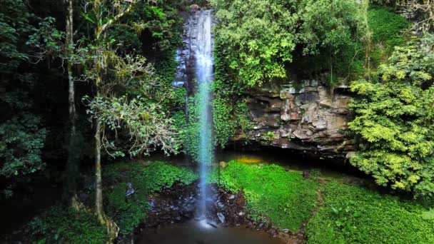 Creación Rodajes Crystall Shower Falls Dorrigo Nueva Gales Del Sur — Vídeo de stock