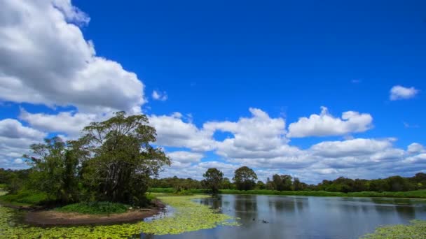 Časová Prodleva Mraků Nad Jezerem Nebo Rybníkem Minnippi Queenslandu Austrálie — Stock video