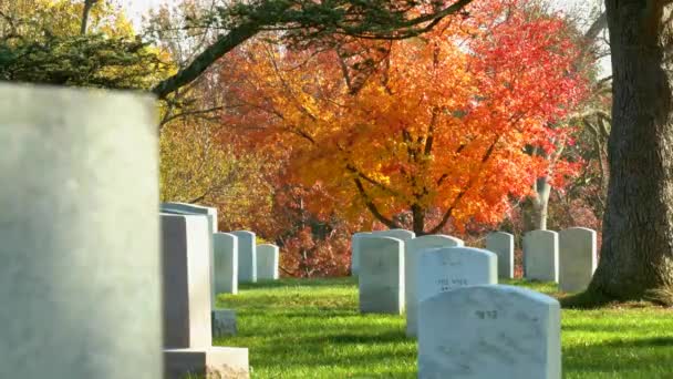 2019 색상의 워싱턴 알링턴 묘지에 매장지 — 비디오