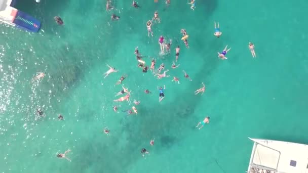 Stigende Antenne Stor Gruppe Turister Snorkling Dykning Den Caribiske Barbados – Stock-video