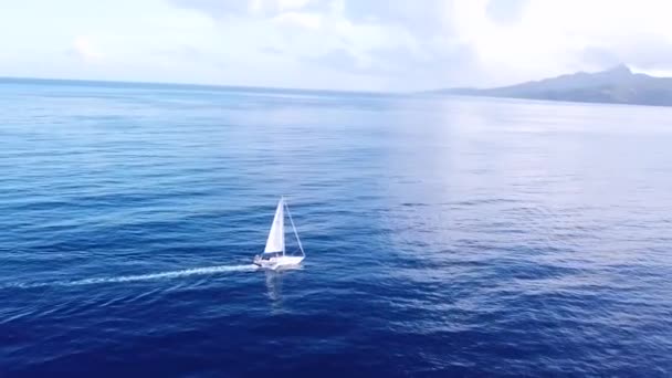 Bela Antena Veleiro Que Navega Através Mar Caribe Perto Ilha — Vídeo de Stock