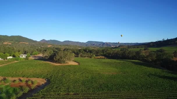 Eine Hohe Antenne Über Weinbergen Nordkalifornischen Sonoma County — Stockvideo
