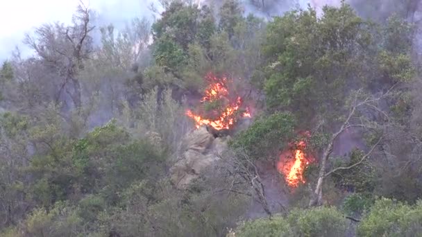2018 ウールジー火災でマリブの丘のブラッシュファイアが制御不能に燃焼 — ストック動画