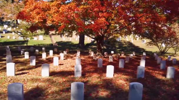 2019 Colpo Lento Lungo Tombe Del Cimitero Nazionale Arlington Washington — Video Stock