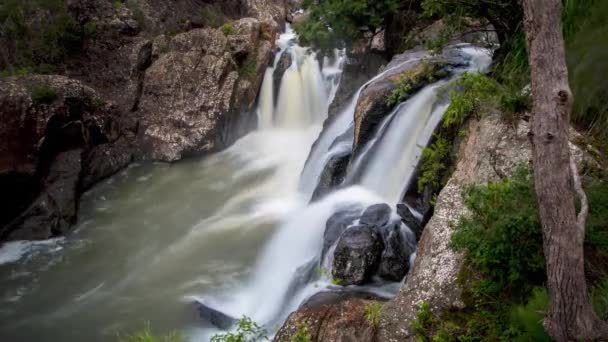 Upływ Czasu Dangar Falls Dorrigo New South Wales Australia — Wideo stockowe