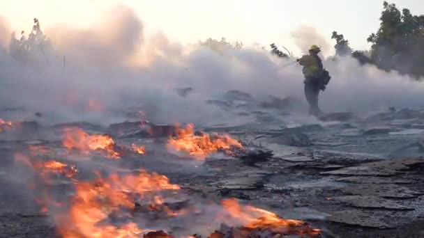 2019 Год Поддоны Коробки Горят Земле Пока Пожарные Борются Горящим — стоковое видео