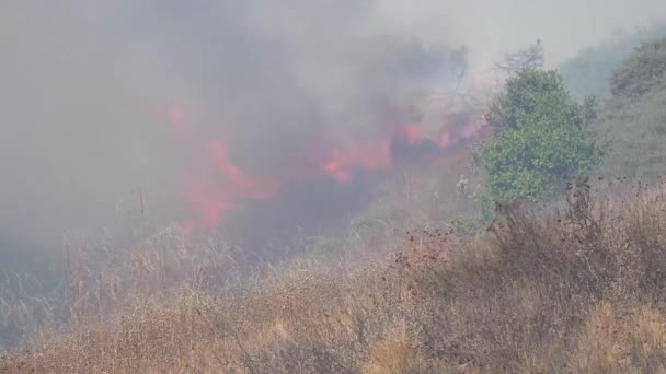 2019 Brush Fire Burns Out Control Easy Fire Simi Valley — Stock Video