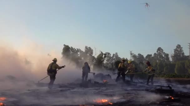 2019 Grondvuur Brandt Als Brandweerlieden Vechten Tegen Een Brandende Structuur — Stockvideo